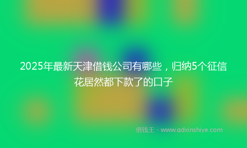 2025年最新天津借钱公司有哪些，归纳5个征信花居然都下款了的口子