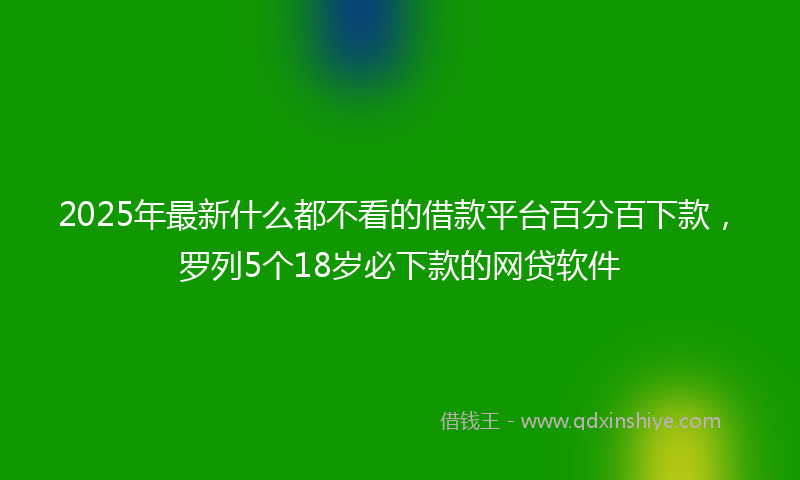 2025年最新什么都不看的借款平台百分百下款，罗列5个18岁必下款的网贷软件