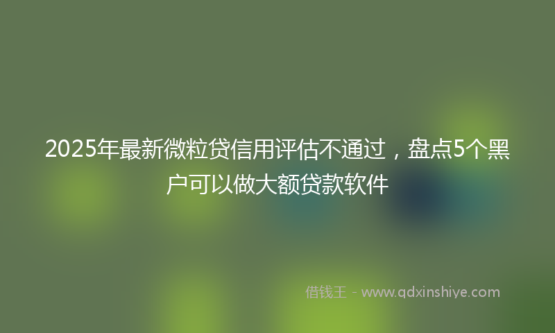 2025年最新微粒贷信用评估不通过，盘点5个黑户可以做大额贷款软件