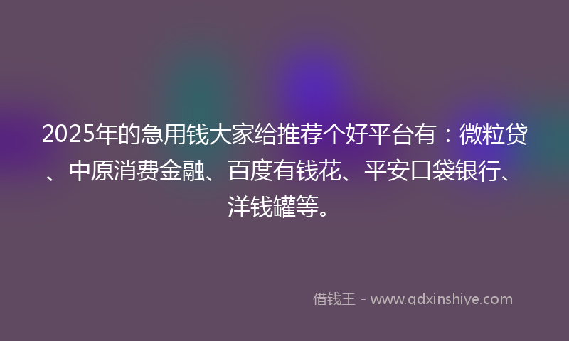 2025年的急用钱大家给推荐个好平台有：微粒贷、中原消费金融、百度有钱花、平安口袋银行、洋钱罐等。