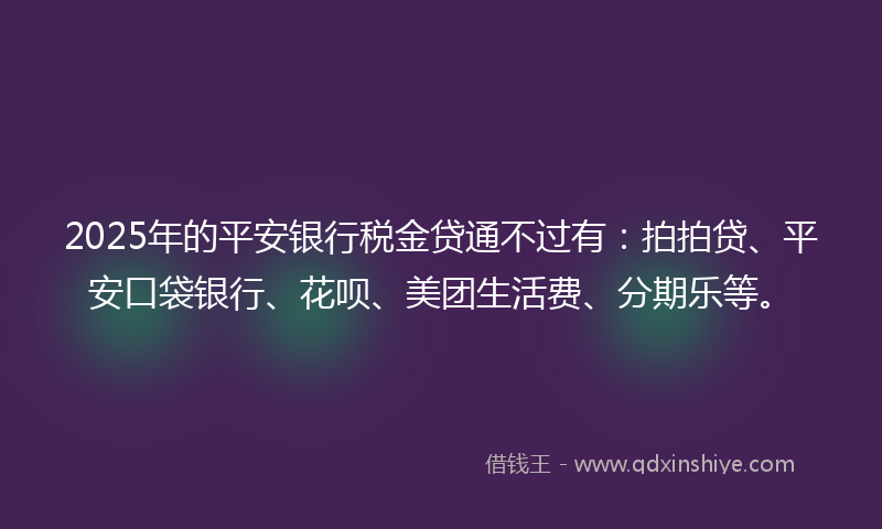 2025年的平安银行税金贷通不过有：拍拍贷、平安口袋银行、花呗、美团生活费、分期乐等。