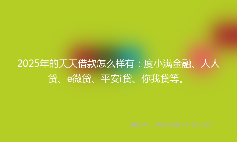 2025年的天天借款怎么样有：度小满金融、人人贷、e微贷、平安i贷、你我贷等。