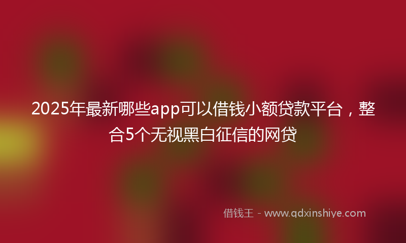 2025年最新哪些app可以借钱小额贷款平台，整合5个无视黑白征信的网贷