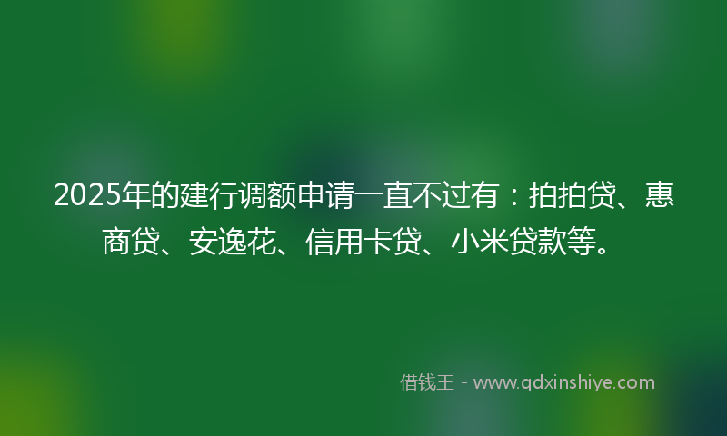 2025年的建行调额申请一直不过有：拍拍贷、惠商贷、安逸花、信用卡贷、小米贷款等。