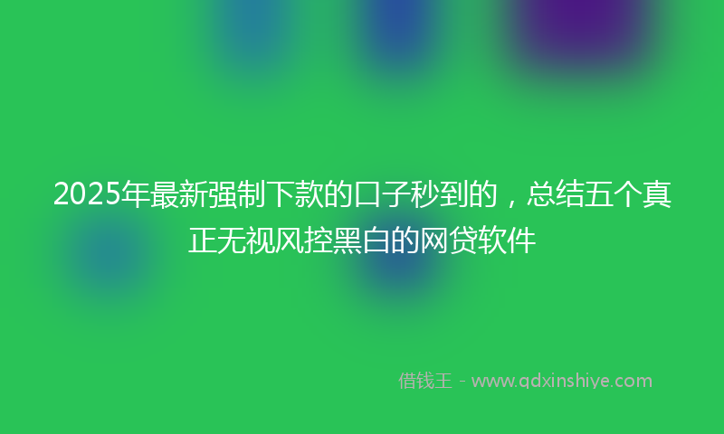 2025年最新强制下款的口子秒到的，总结五个真正无视风控黑白的网贷软件
