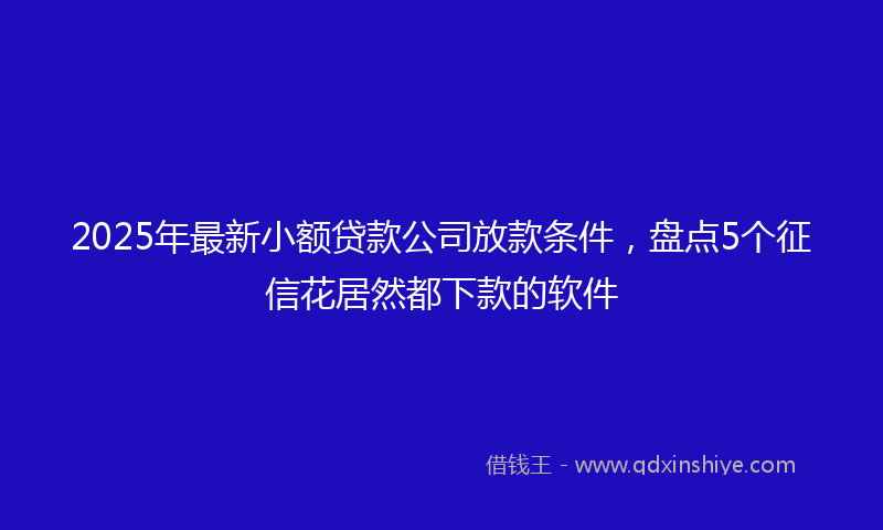 2025年最新小额贷款公司放款条件，盘点5个征信花居然都下款的软件
