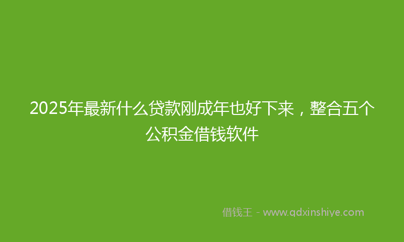 2025年最新什么贷款刚成年也好下来，整合五个公积金借钱软件