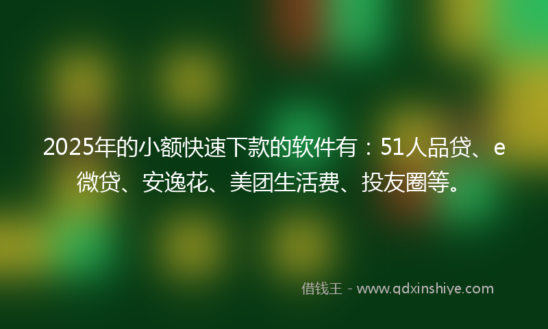 2025年的小额快速下款的软件有：51人品贷、e微贷、安逸花、美团生活费、投友圈等。