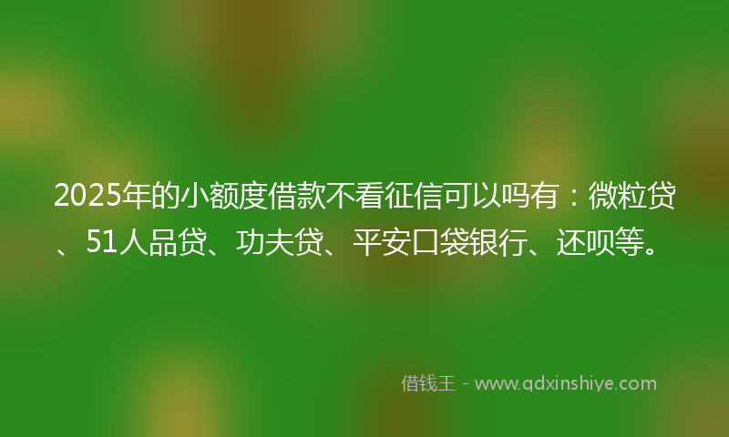 2025年的小额度借款不看征信可以吗有：微粒贷、51人品贷、功夫贷、平安口袋银行、还呗等。