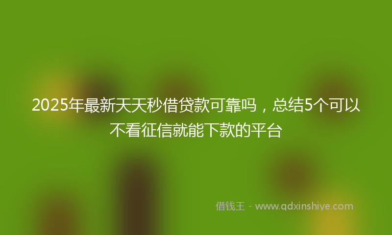 2025年最新天天秒借贷款可靠吗，总结5个可以不看征信就能下款的平台