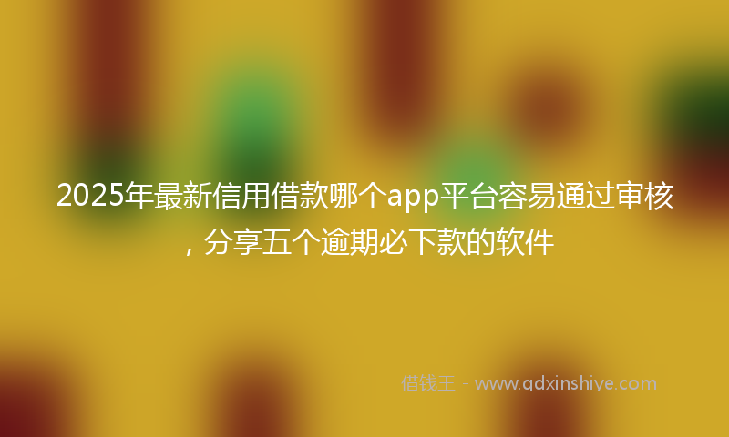 2025年最新信用借款哪个app平台容易通过审核，分享五个逾期必下款的软件