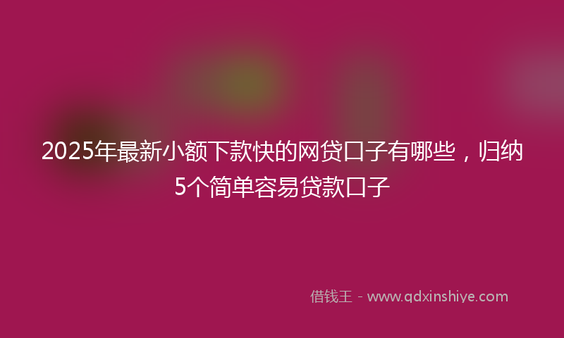 2025年最新小额下款快的网贷口子有哪些，归纳5个简单容易贷款口子