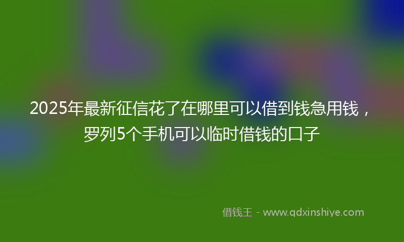 2025年最新征信花了在哪里可以借到钱急用钱，罗列5个手机可以临时借钱的口子