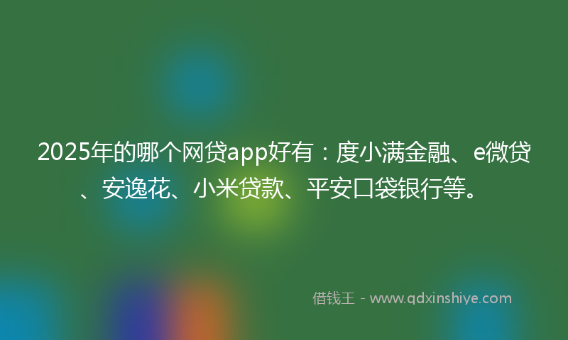 2025年的哪个网贷app好有：度小满金融、e微贷、安逸花、小米贷款、平安口袋银行等。