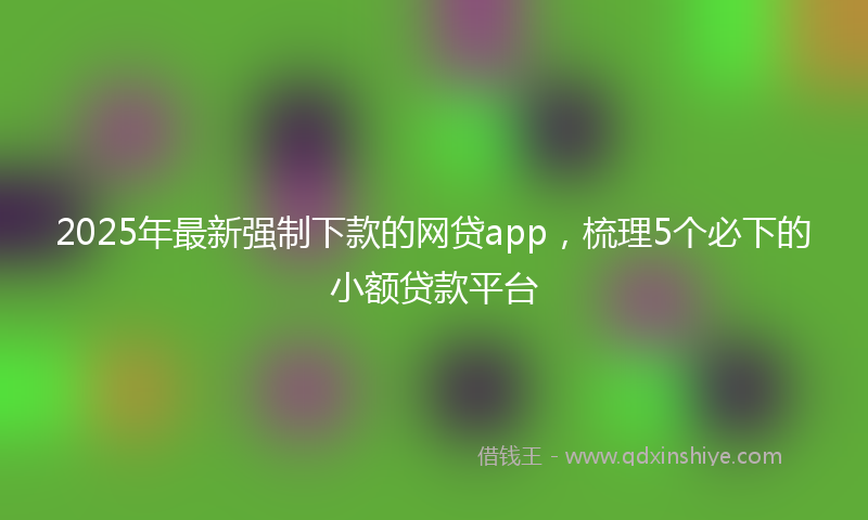 2025年最新强制下款的网贷app，梳理5个必下的小额贷款平台