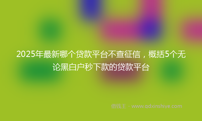 2025年最新哪个贷款平台不查征信，概括5个无论黑白户秒下款的贷款平台