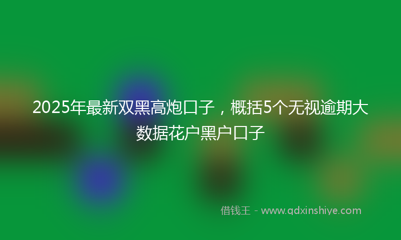 2025年最新双黑高炮口子，概括5个无视逾期大数据花户黑户口子