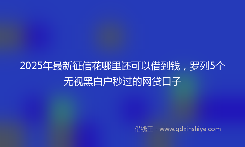 2025年最新征信花哪里还可以借到钱，罗列5个无视黑白户秒过的网贷口子