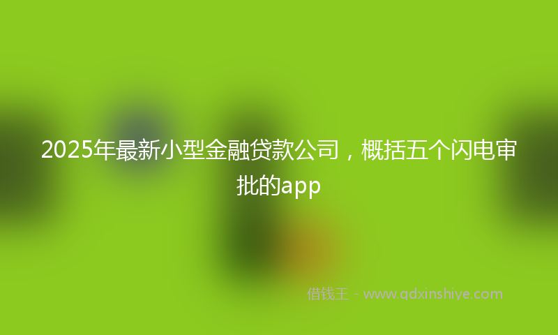 2025年最新小型金融贷款公司，概括五个闪电审批的app