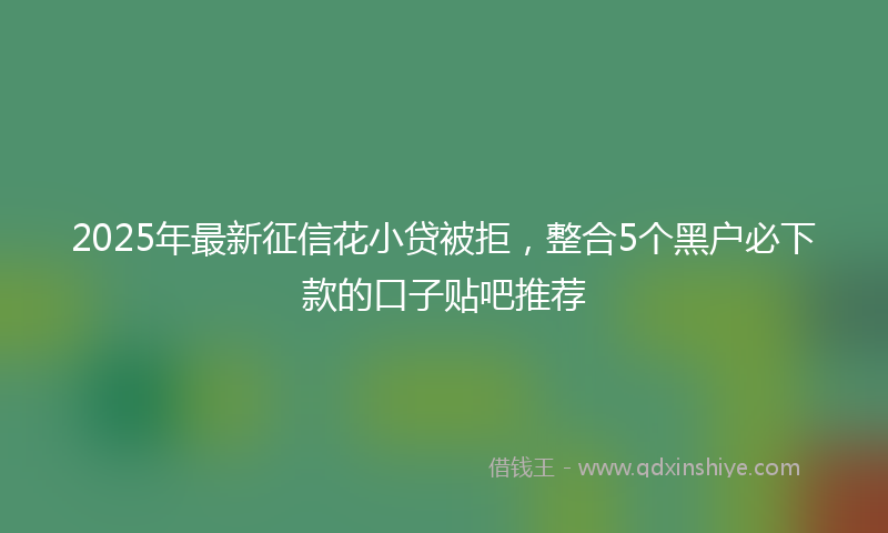 2025年最新征信花小贷被拒，整合5个黑户必下款的口子贴吧推荐