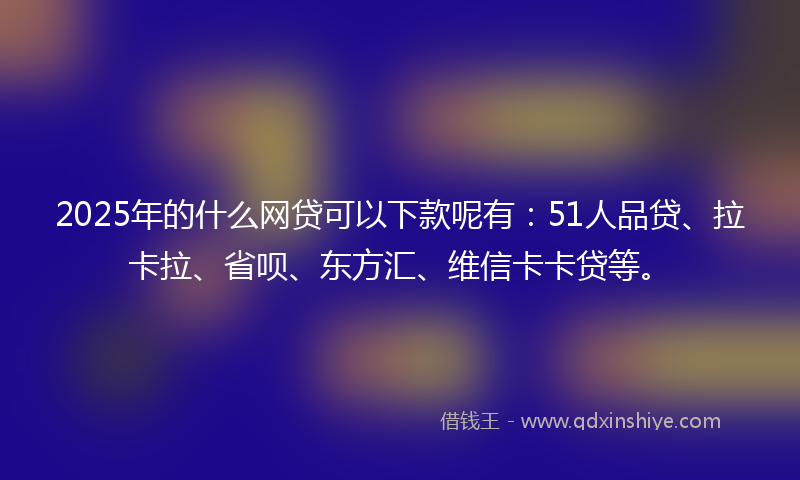 2025年的什么网贷可以下款呢有：51人品贷、拉卡拉、省呗、东方汇、维信卡卡贷等。