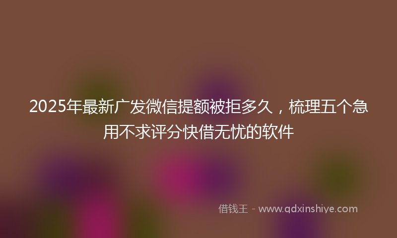 2025年最新广发微信提额被拒多久，梳理五个急用不求评分快借无忧的软件