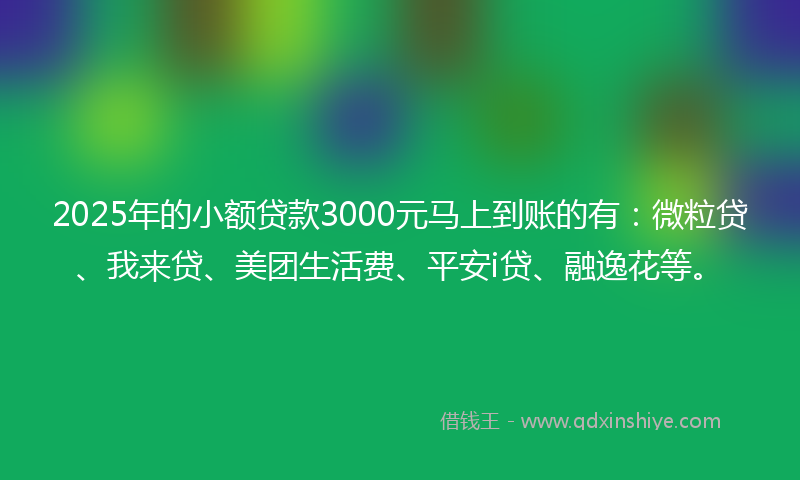 2025年的小额贷款3000元马上到账的有：微粒贷、我来贷、美团生活费、平安i贷、融逸花等。