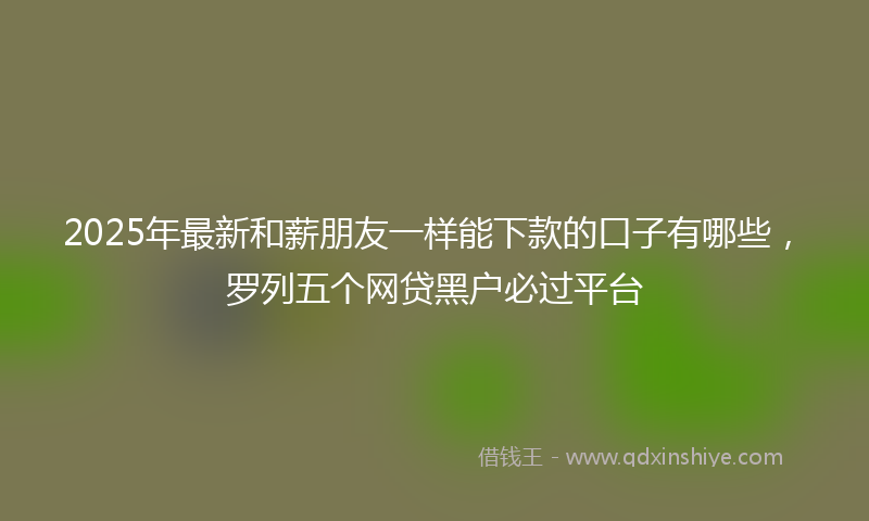 2025年最新和薪朋友一样能下款的口子有哪些，罗列五个网贷黑户必过平台