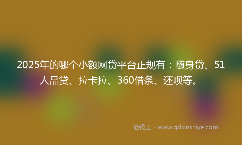 2025年的哪个小额网贷平台正规有：随身贷、51人品贷、拉卡拉、360借条、还呗等。