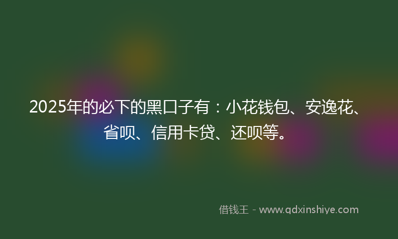 2025年的必下的黑口子有：小花钱包、安逸花、省呗、信用卡贷、还呗等。