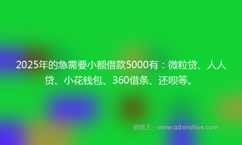 2025年的急需要小额借款5000有：微粒贷、人人贷、小花钱包、360借条、还呗等。