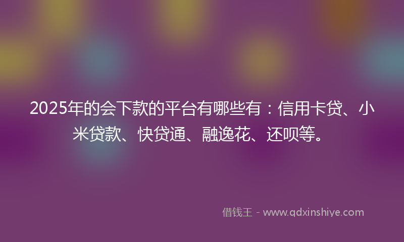 2025年的会下款的平台有哪些有：信用卡贷、小米贷款、快贷通、融逸花、还呗等。