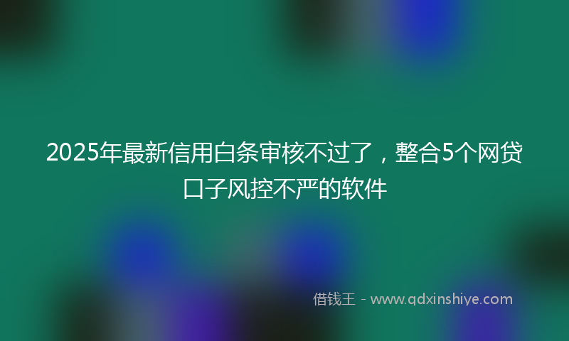 2025年最新信用白条审核不过了，整合5个网贷口子风控不严的软件