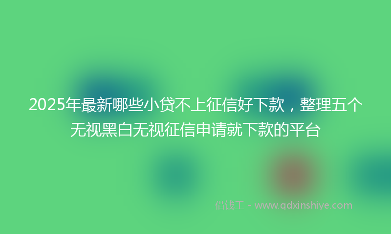2025年最新哪些小贷不上征信好下款，整理五个无视黑白无视征信申请就下款的平台