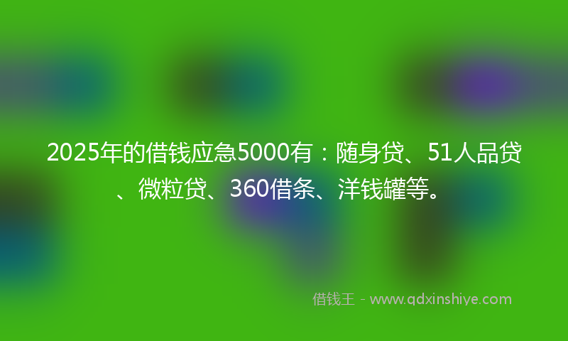 2025年的借钱应急5000有：随身贷、51人品贷、微粒贷、360借条、洋钱罐等。