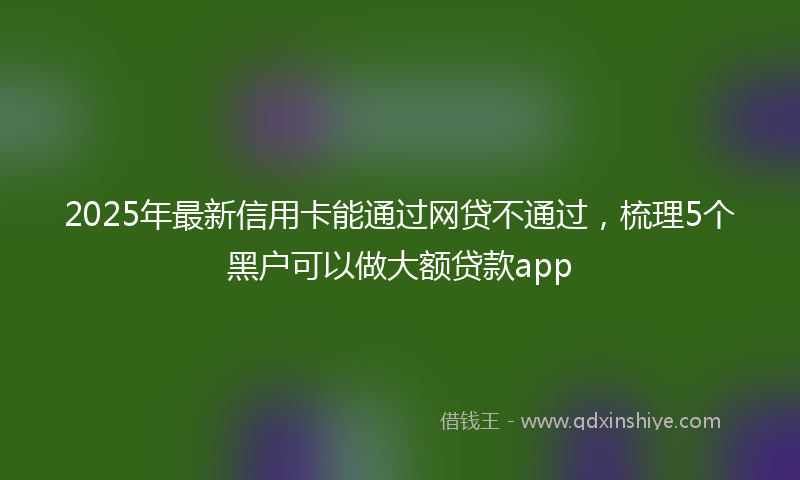 2025年最新信用卡能通过网贷不通过，梳理5个黑户可以做大额贷款app