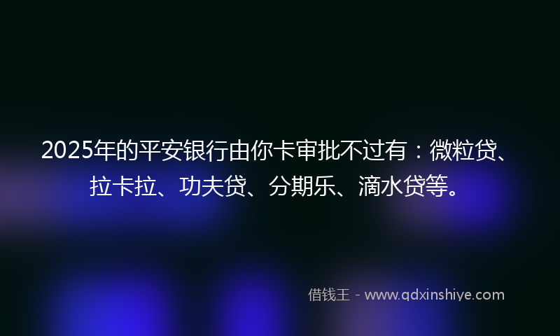 2025年的平安银行由你卡审批不过有：微粒贷、拉卡拉、功夫贷、分期乐、滴水贷等。