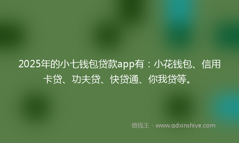 2025年的小七钱包贷款app有：小花钱包、信用卡贷、功夫贷、快贷通、你我贷等。