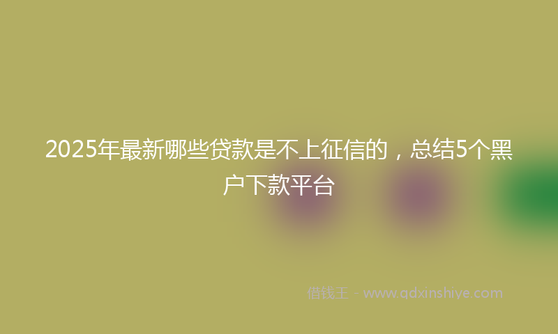 2025年最新哪些贷款是不上征信的，总结5个黑户下款平台