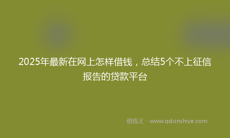2025年最新在网上怎样借钱，总结5个不上征信报告的贷款平台