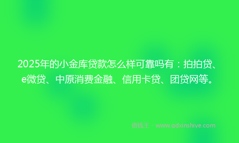 2025年的小金库贷款怎么样可靠吗有：拍拍贷、e微贷、中原消费金融、信用卡贷、团贷网等。