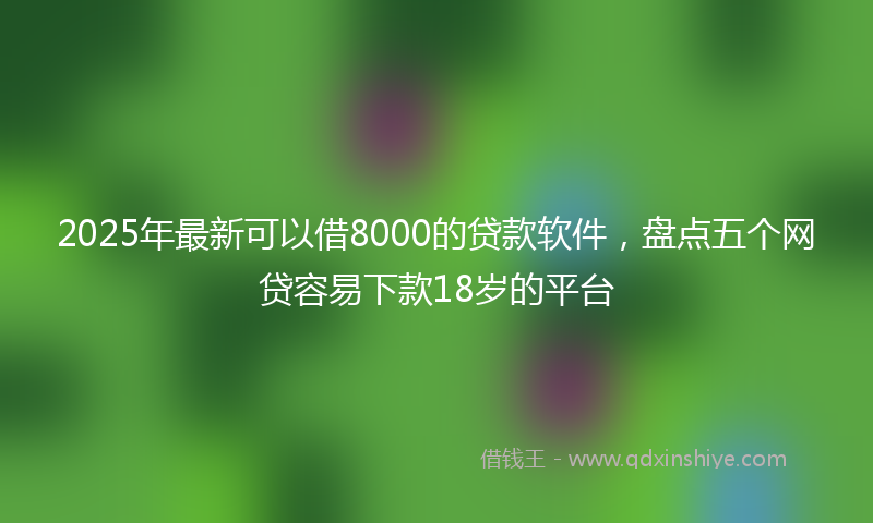 2025年最新可以借8000的贷款软件，盘点五个网贷容易下款18岁的平台