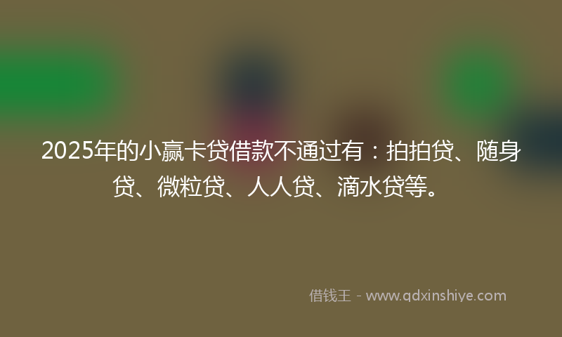 2025年的小赢卡贷借款不通过有：拍拍贷、随身贷、微粒贷、人人贷、滴水贷等。