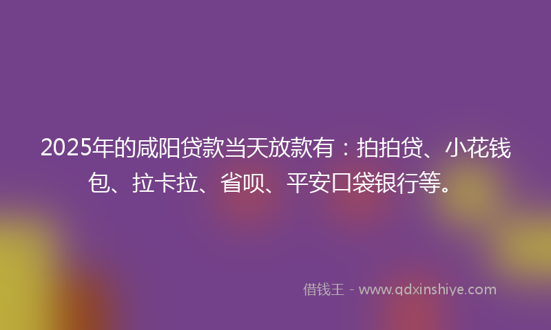 2025年的咸阳贷款当天放款有：拍拍贷、小花钱包、拉卡拉、省呗、平安口袋银行等。