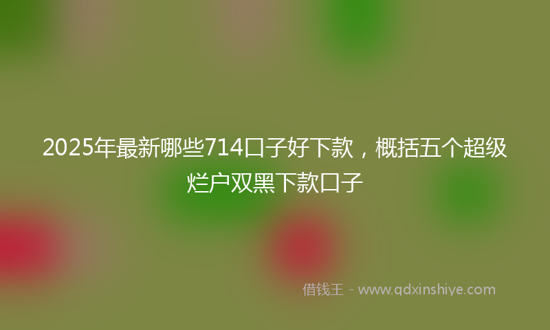 2025年最新哪些714口子好下款，概括五个超级烂户双黑下款口子