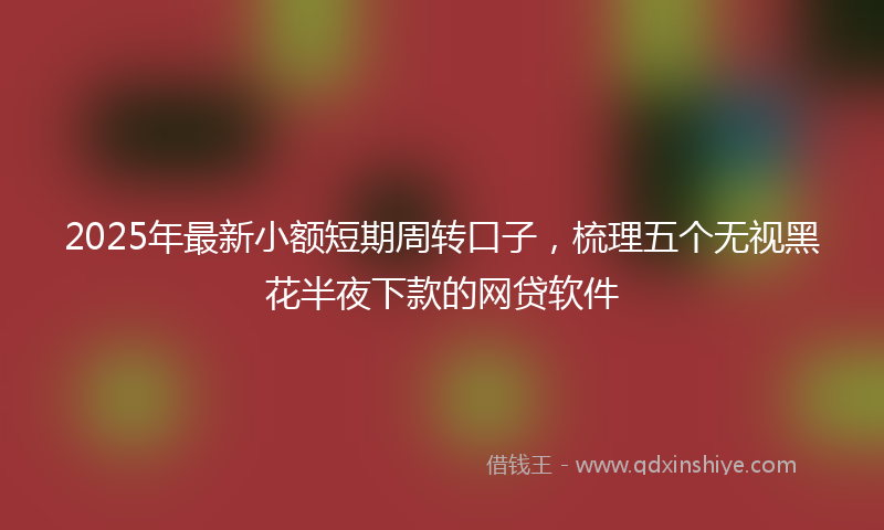 2025年最新小额短期周转口子，梳理五个无视黑花半夜下款的网贷软件