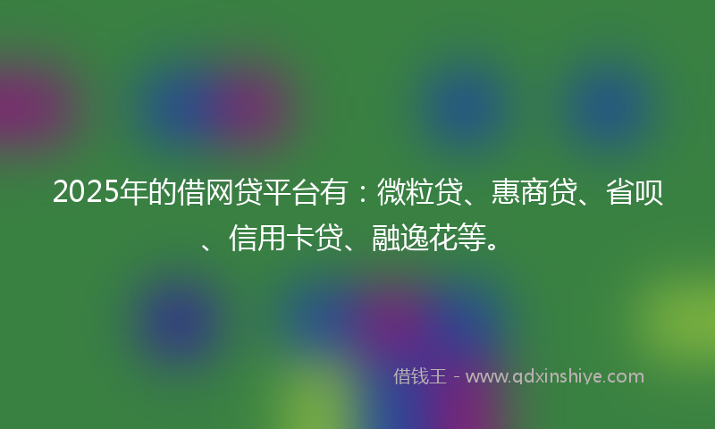 2025年的借网贷平台有：微粒贷、惠商贷、省呗、信用卡贷、融逸花等。
