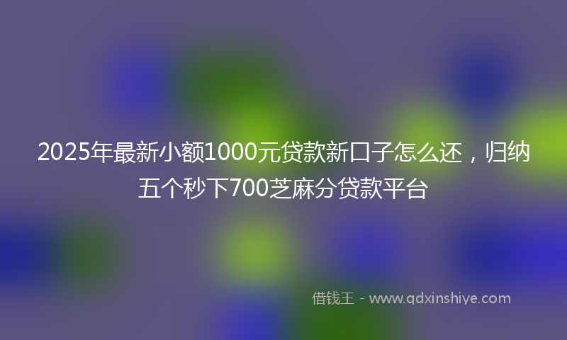 2025年最新小额1000元贷款新口子怎么还，归纳五个秒下700芝麻分贷款平台