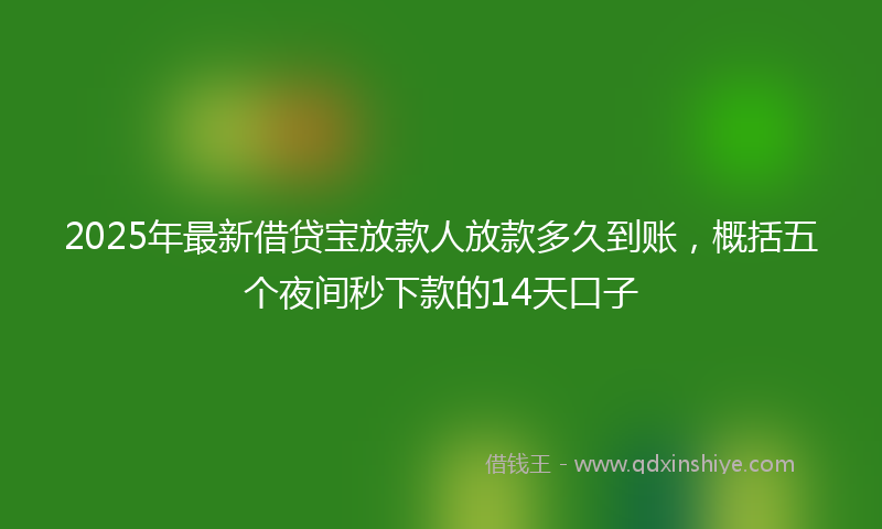 2025年最新借贷宝放款人放款多久到账，概括五个夜间秒下款的14天口子