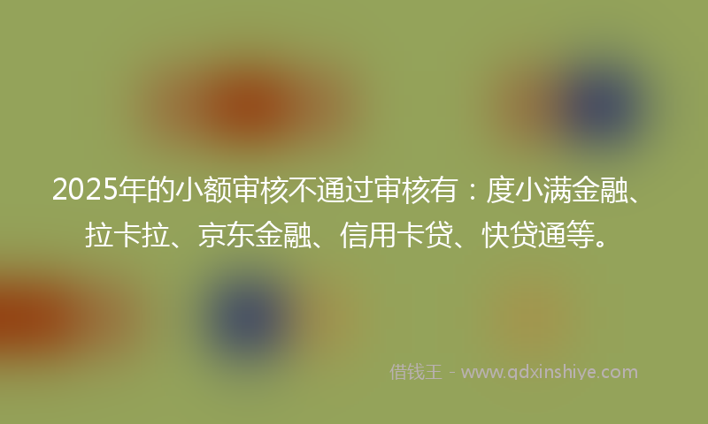 2025年的小额审核不通过审核有：度小满金融、拉卡拉、京东金融、信用卡贷、快贷通等。